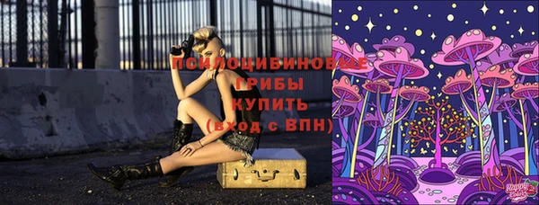 apvp Абинск