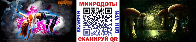 что такое   Тимашёвск  Галлюциногенные грибы MAGIC MUSHROOMS 